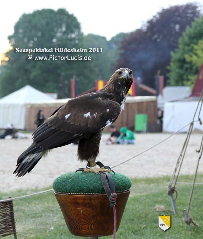 2011-05 Seespektakel Hildesheim | LB164578  | www.mittelalter-rocknacht.de